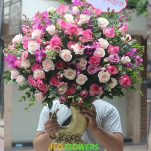 vươn tới đỉnh cao