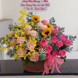 sắc màu dịu dàng