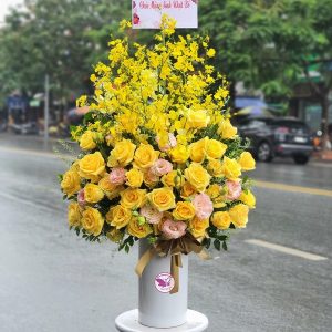 {chudeshop2} {xahuyen1}