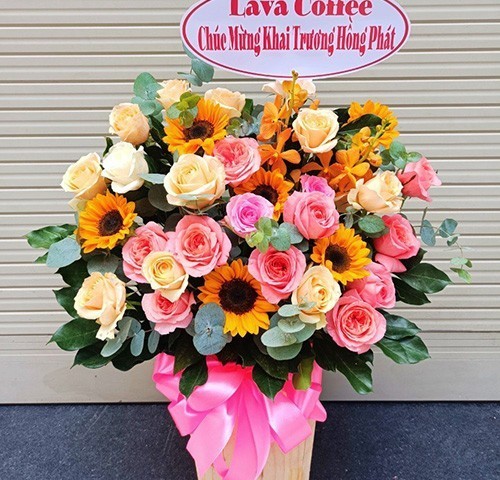 Shop hoa tươi Xã Toàn Lưu