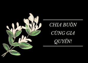 Chia buồn cùng gia đình