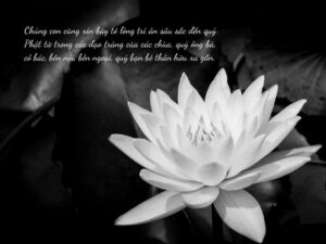 Lời cảm on sau tang lễ ngắn gọn nhất