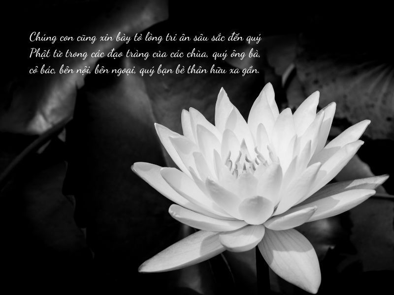 Lời cảm on sau tang lễ ngắn gọn nhất