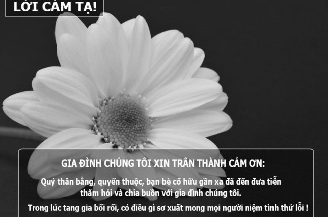 Lời cảm tạ hay nhất