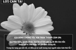 Lời cảm tạ sau đám tang mẹ